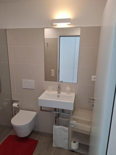 a bathroom with a sink and a toilet and a mirror at B&B Marysol in Arcegno