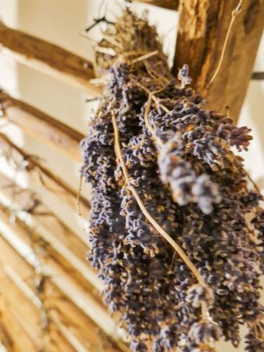 a bunch of bees hanging from a pole at Casa Fonte Vallone in Pacentro