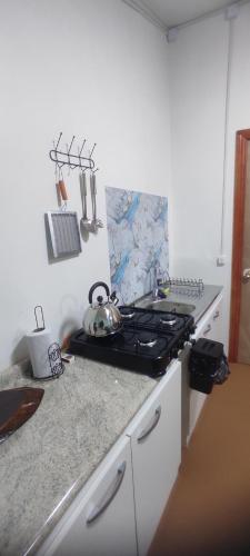 a kitchen with a stove and a tea kettle on a counter at Cabaña lomas de chaica in Puerto Montt