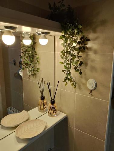 a bathroom with a mirror and plants on the wall at ΚΝΗΜΙΣ Apartment in Agios Konstantinos