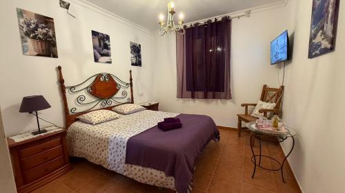 a bedroom with a bed and a chandelier at La Loma de Alcalá in Arcos de la Frontera
