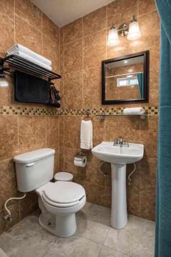a bathroom with a toilet and a sink at HOTEL LARIMAR - Valle de Guadalupe in Dinuva