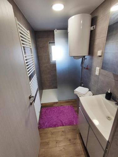 a bathroom with a purple rug in the floor at DAI Apartment in Maribor