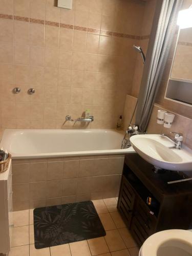 a bathroom with a bath tub and a sink at El Balcón des Diablerets in Les Diablerets