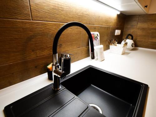 a kitchen sink with a faucet on a counter at Apartmány 13 Přízemí 2 in Seč