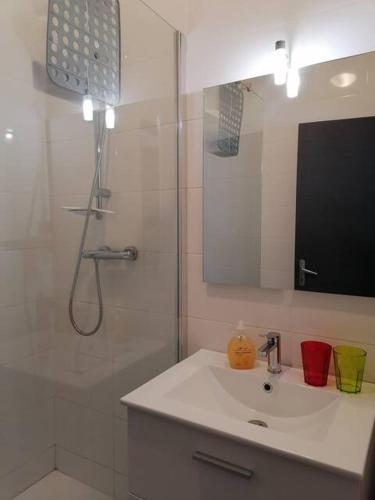 a white bathroom with a shower and a sink at Appartement en centre ville in Ambert