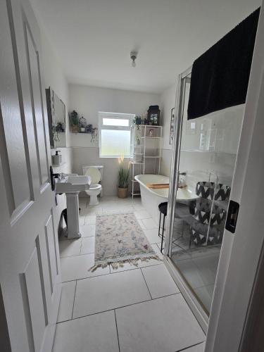 a bathroom with a shower and a sink and a toilet at The Bungalow Killybegs in Killybegs