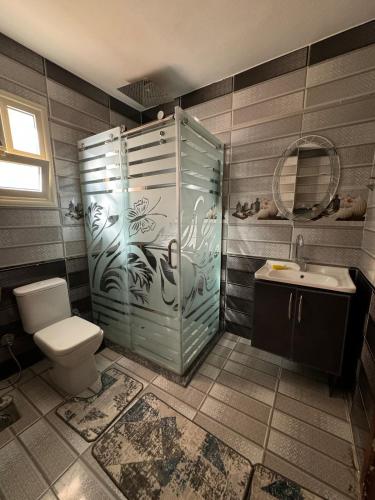 a bathroom with a shower and a toilet and a sink at Cabilyt Cairo Luxiury Apartment in Obour