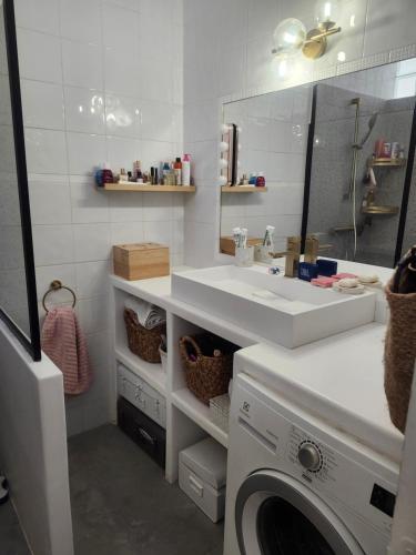 a bathroom with a sink and a washing machine at Chaleureux appartement in Nîmes
