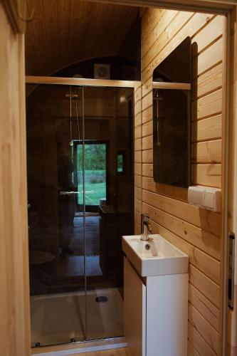 a bathroom with a shower and a sink and a mirror at Glamping Pod in de natuur Eigen badkamer in Oudehornstercompagnie