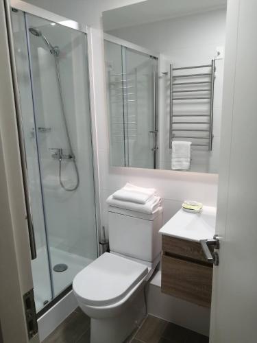 a white bathroom with a toilet and a shower at Claro Centro Temuco in Temuco