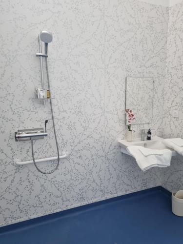 a bathroom with a shower and a sink at L'éveil à la nature in Limoges