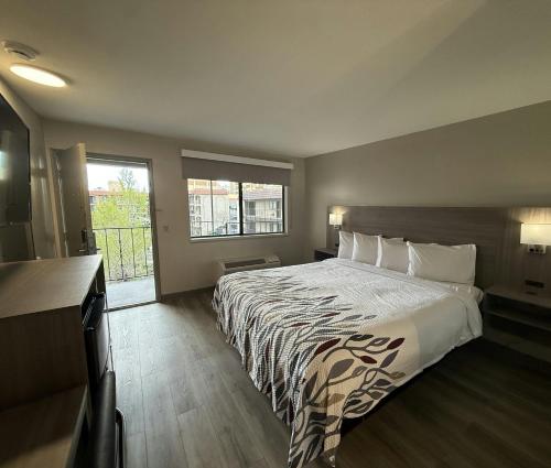 a bedroom with a large bed and a window at Red Roof Inn Reno in Reno