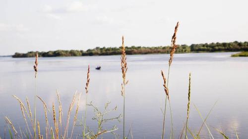 a view of a lake with a boat in the water at Park-Hotel Tihiy Les in Prokhorovka