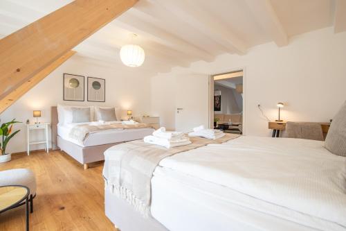 Spacious Apartment in Central Basel near Rhine - Special TOP LUX 34 Apartment, Basel, up to 8 guests