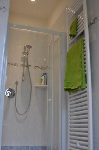 a bathroom with a shower with a shower head at Casa Katia in Lezzeno