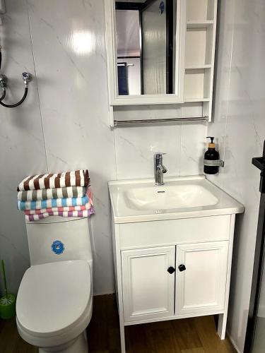 a bathroom with a toilet and a sink and a mirror at Casa Bonassola, Barra de Navidad in Barra de Navidad