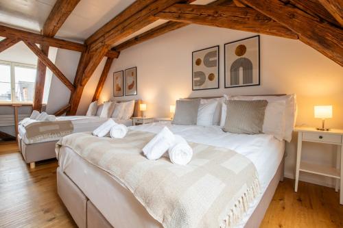 Spacious Apartment in Central Basel near Rhine - Special TOP LUX 42 Apartment, Basel, up to 6 guests