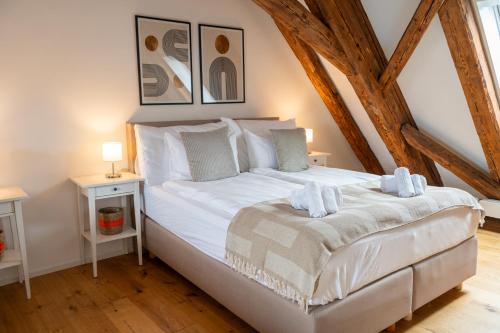 Spacious Apartment in Central Basel near Rhine - Special TOP LUX 42 Apartment, Basel, up to 6 guests