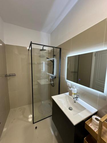 a bathroom with a sink and a glass shower at Poshi Apartment in Krujë