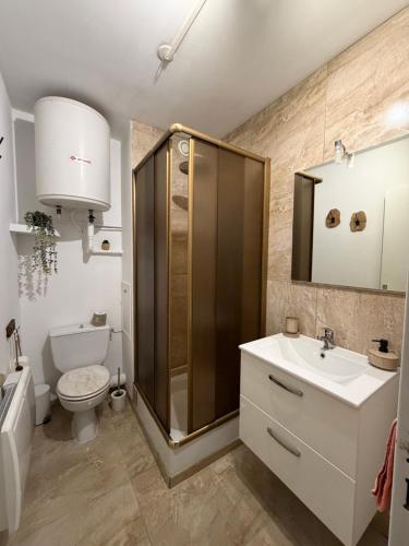 a bathroom with a shower and a toilet and a sink at Joli studio avec parking privé in Moulins