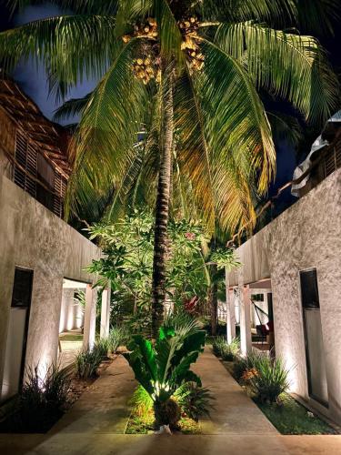 a palm tree in front of a building at Aqua Viva in Tulum