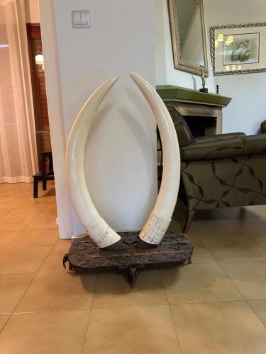 a sculpture of two large horns in a living room at Fokiotrypa Seaside Retreat in Marathias