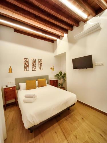 Casa Amelia Toledo