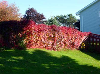 Suncatcher B&B – Photos 4
