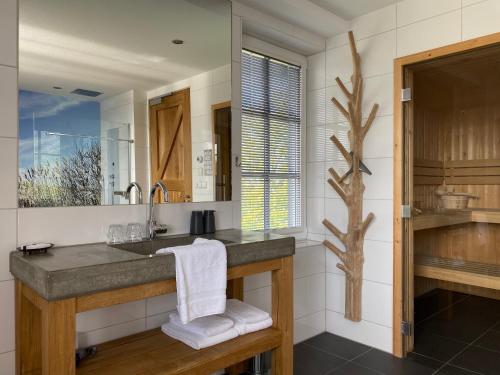 a bathroom with a sink and a mirror at Grand Villa with Sauna & Jacuzzi in Den Burg
