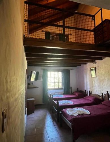 a room with three beds with purple sheets and a window at Posada Merlo in Merlo