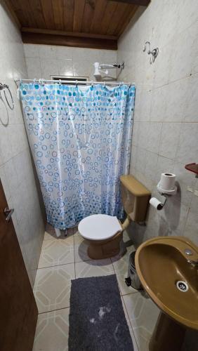 a bathroom with a toilet and a blue shower curtain at Departamentos Hernan in Apóstoles