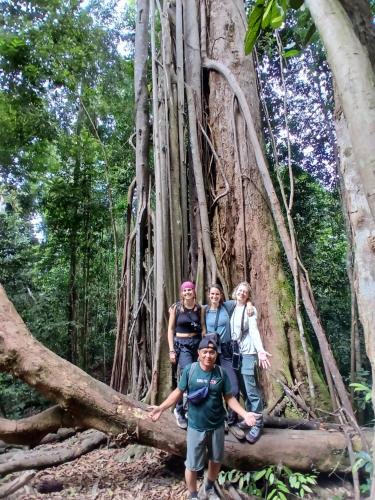 a group of people standing in front of a tree at Orangutan Inn in Bukit Lawang