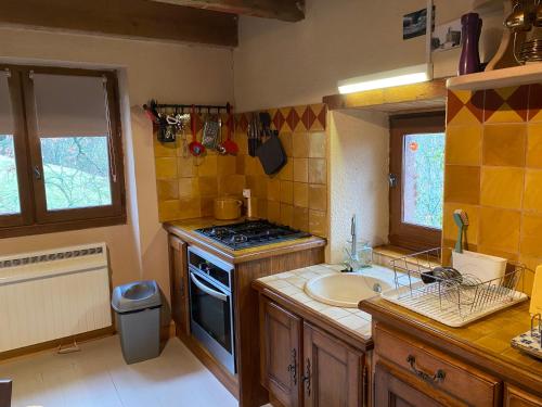 a kitchen with a sink and a stove top oven at La cabane de Thuriès in Camarès
