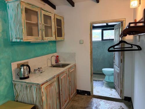 a kitchen with a sink and a toilet at Angelica Villa in Bentota