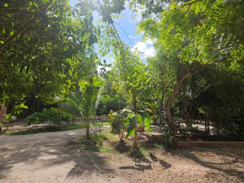 a park with trees and a dirt road at Karibu Maisha Lodge in Kizimkazi