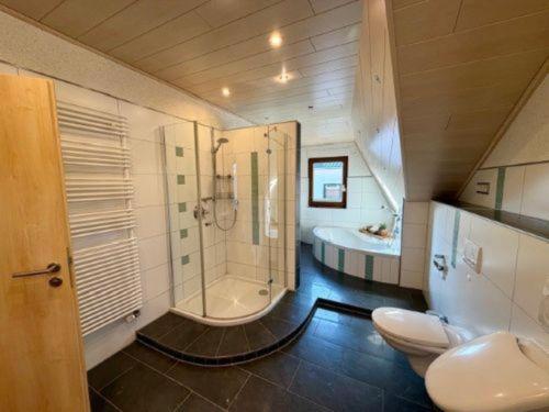 a bathroom with a shower and a toilet and a sink at Rauschelbach Loft 9 in Poppenhausen