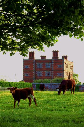 Soulton Hall – Photos 3