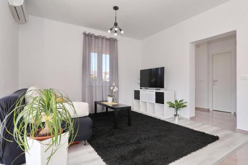 Apartment Jerbic