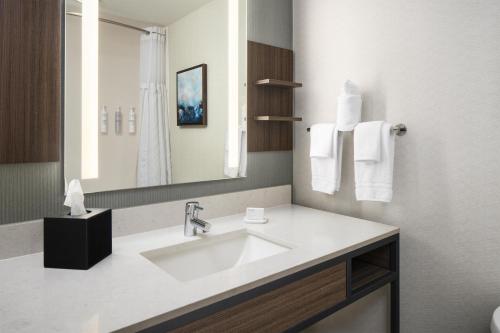 a bathroom with a sink and a mirror at Hilton Garden Inn Virginia Beach Town Center in Virginia Beach