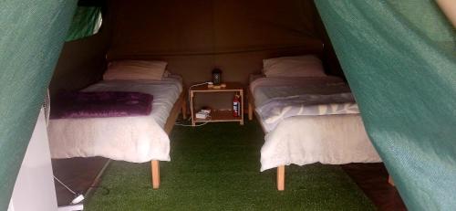 a room with two beds in a tent at Camp Hogo Kavango in Rundu