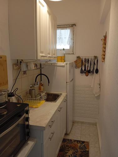 a kitchen with a sink and a white refrigerator at Maria I in Chorto