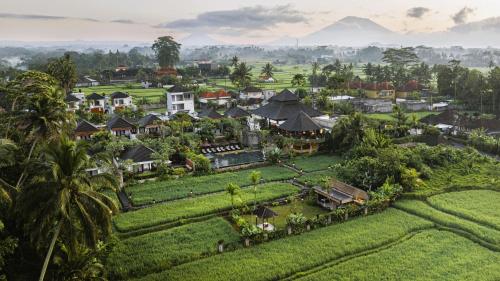 Anumana Village Ubud