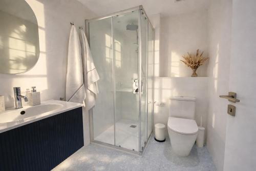 a bathroom with a shower and a toilet and a sink at Acariciando la Catedral by apartamentoscatedralcamino in Burgos