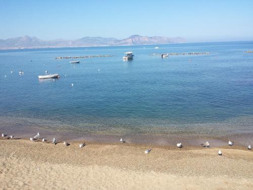a group of birds standing on the beach at Bed And Breakfast Marina d'Aspra in Bagheria