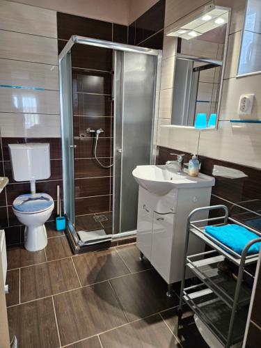 a bathroom with a shower and a toilet and a sink at Kids' Paradise House in Balatonboglár