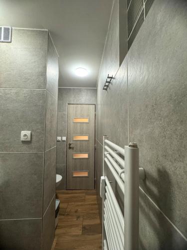 a bathroom with a toilet and a sink at Apartmán U Čápů Mladé Buky 59 in Mladé Buky
