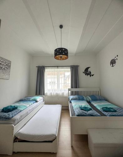 two beds in a room with a window at Apartmán U Čápů Mladé Buky 59 in Mladé Buky