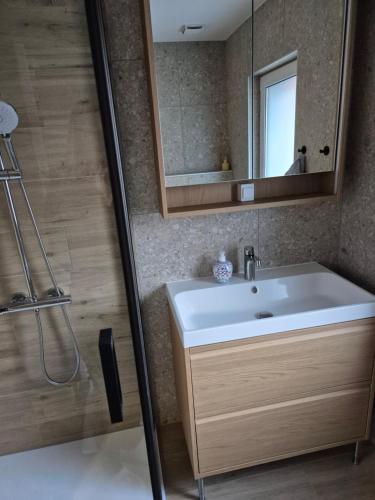 a bathroom with a sink and a mirror at Green River Apartment in Stahovica