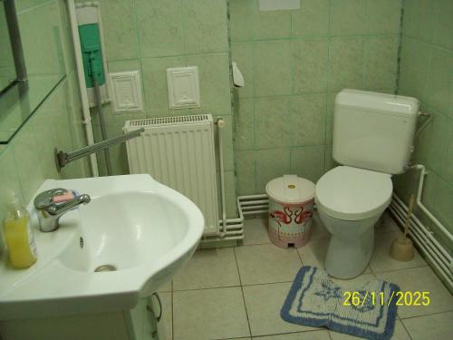 a bathroom with a sink and a toilet at Vila Mihaela in Breaza